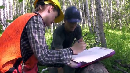 Derretimento de permafrosts pode “inundar” atmosfera com metano