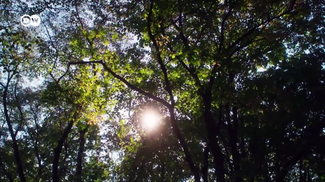 Fe, poder, manipulación - Los secretos de la secta del Opus Dei | DW Documental