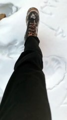 Embracing Winter's Majesty: The Wonders of Snowfall