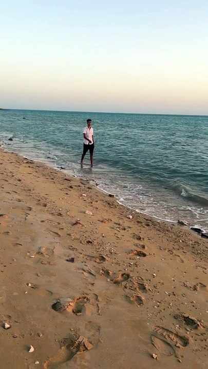 بودي والبحر