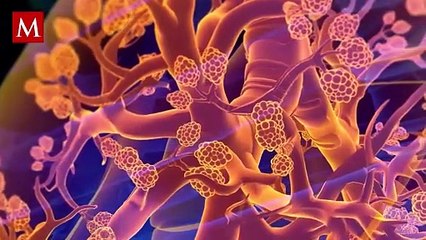 ¡Innovación contra el COVID-19! Descubre la vacuna inhalable que llega directo a los pulmones