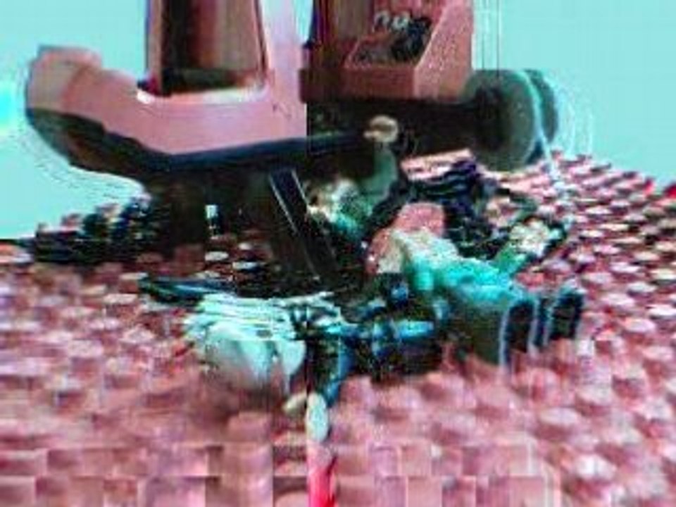 Histoires de duplos 2