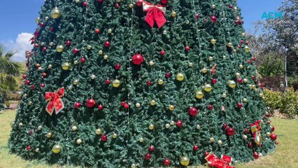 Magical Christmas Park at Farrer