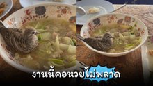 เจ้านกน้อยมาอยู่ตรงนี้ได้ไง...!? งานนี้คอหวยไม่พลาดแห่ตีเลขเด็ด