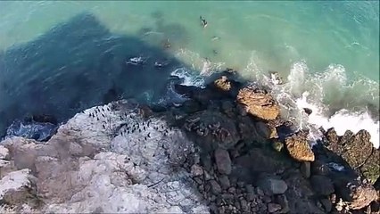 Bobby Solo - Gelosia (1980)