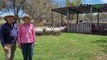 Amiens sheep farmers Clive and Margaret Smith | December 15, 2023 | Queensland Country Life
