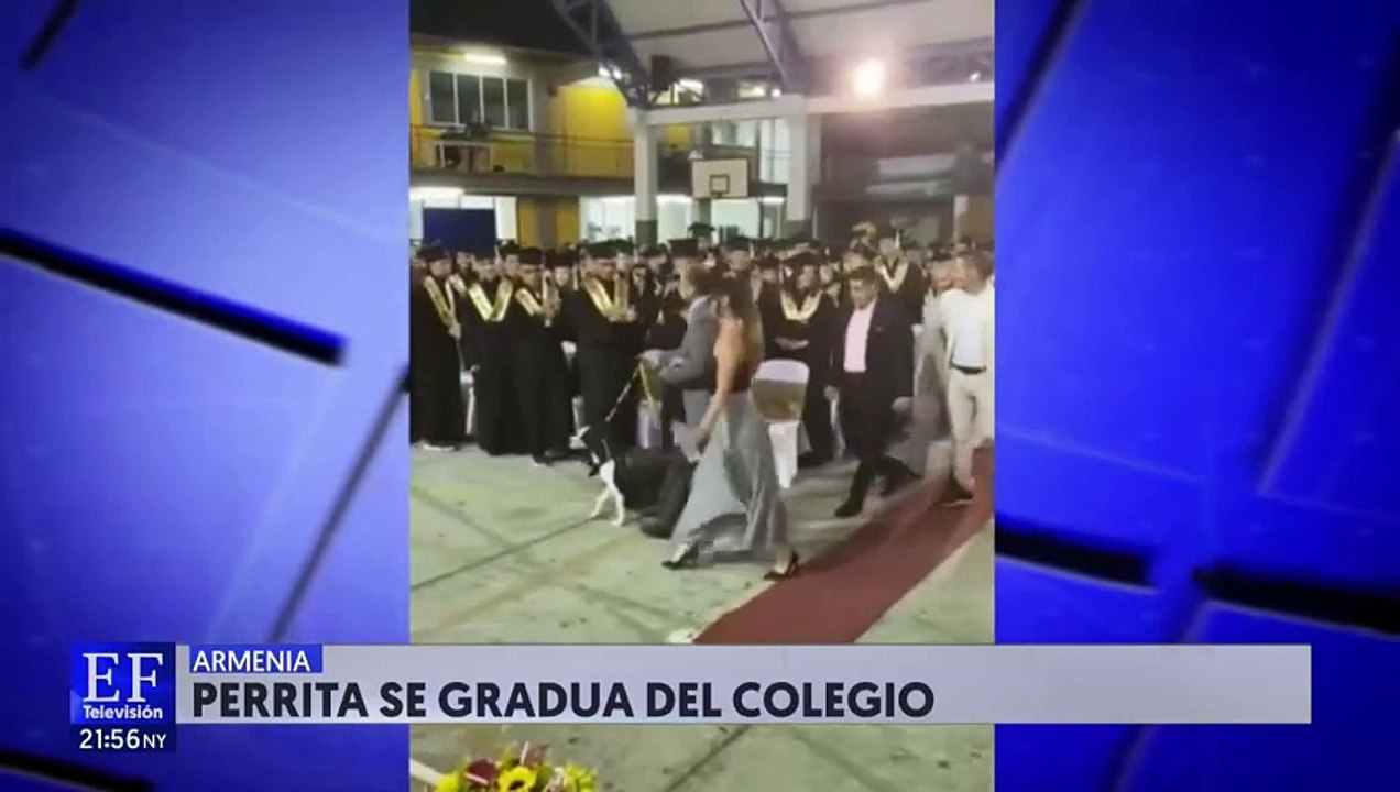 Perrita se graduó en Armenia
