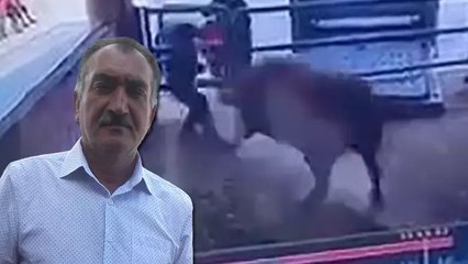 Amasya'da boğa saldırısı can aldı