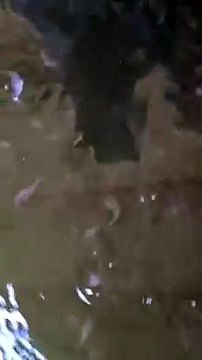 Tahapan belajar mitra kelas online di segmen pendederan tebar ukuran 2-3cm panen ukuran 5-7cm