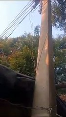 लखनऊ में होती ऐसे बिजली चोरी,सरकार को लगता है करोड़ो का चूना