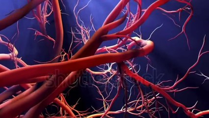 High Blood Pressure (The End of Hypertension) I रक्तचाप