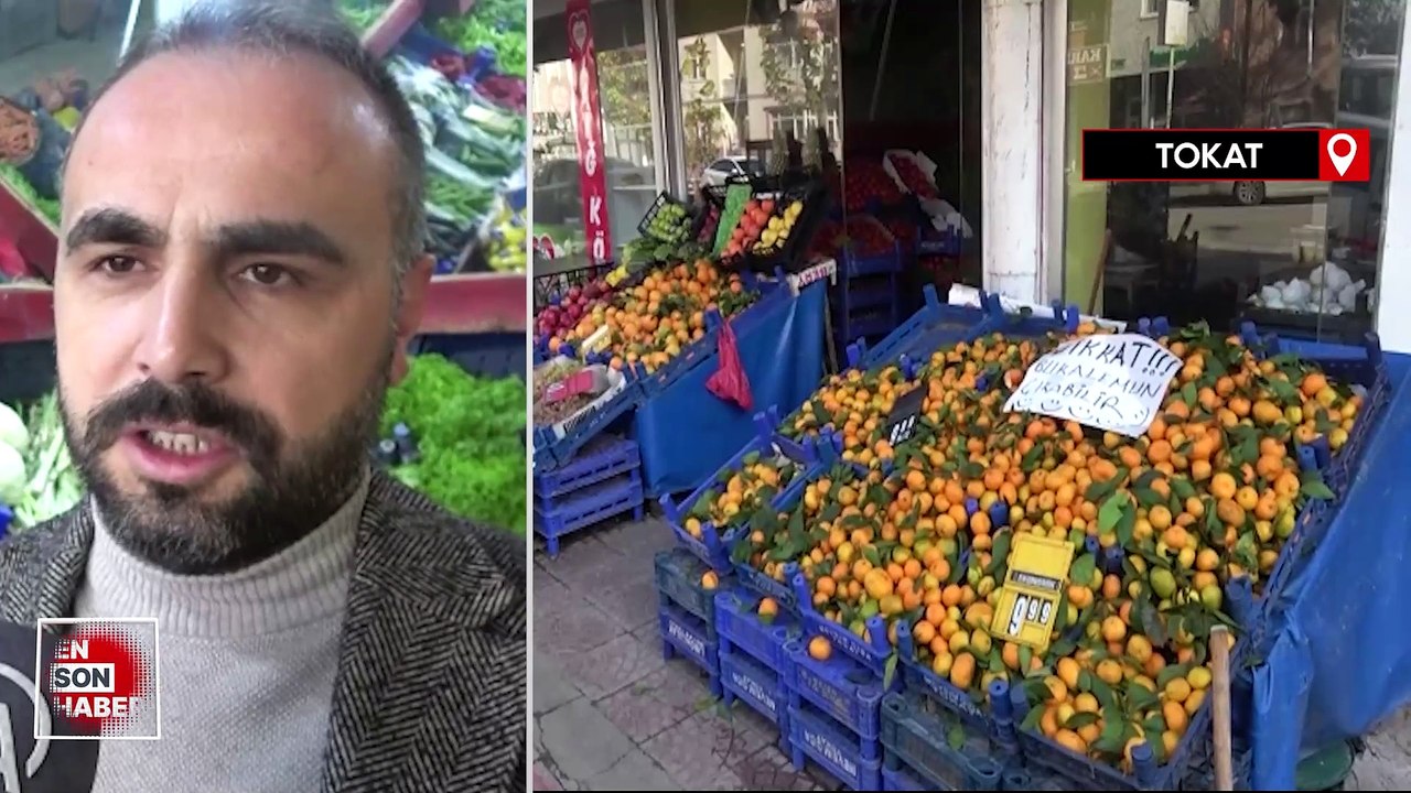 Tokat'ta manavdan mandalina alırken bukalemun buldu