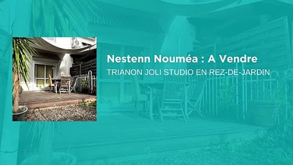 Investissement Idéal à Nouméa : Studio Charmant avec Jardin à Trianon