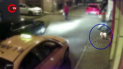 Bakırköy'de köpek çalan taksi şoförünün 8 yıl kesinleşmiş hapis cezası olduğu ortaya çıktı