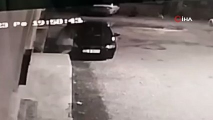 Köpeğin saldırdığı genç kız son anda böyle kurtuldu