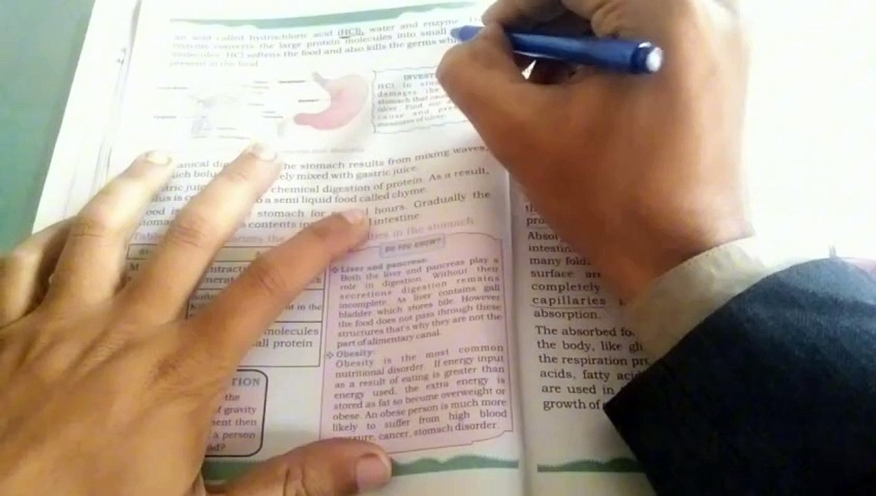 Chapter One Digestive Organ System.