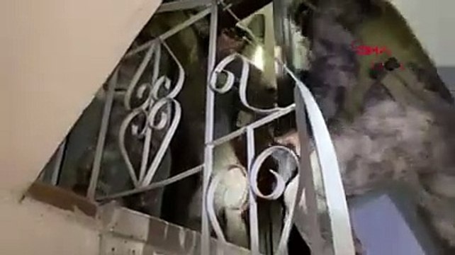 Sosyal medya fenomeni Ece Ronay gözaltına alındı