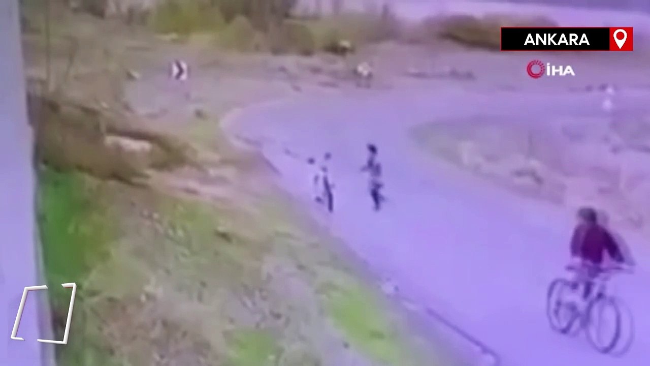 Ankara'da bisiklet süren çocuğa başıboş köpek saldırdı