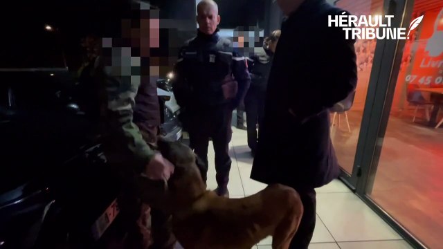 Opération Tempête 34 François-Xavier Lauch Préfet de l'Hérault