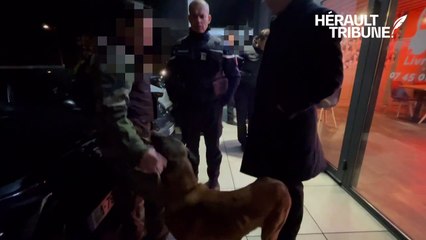 Opération Tempête 34 François-Xavier Lauch Préfet de l'Hérault