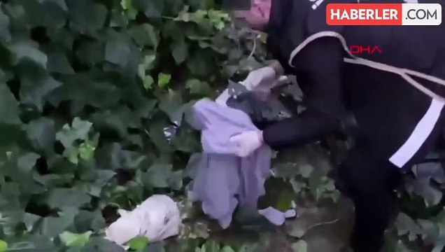 Ece Ronay'ın gözaltına alındığı operasyonun görüntüsü