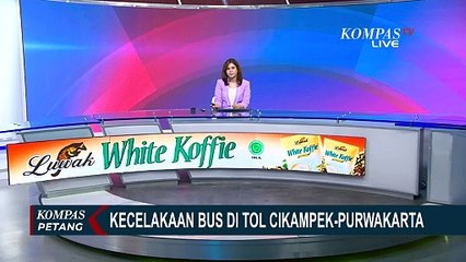TERBARU! Telah Terjadi Kecelakaan Antarbus di Tol Cikampek-Purwakarta