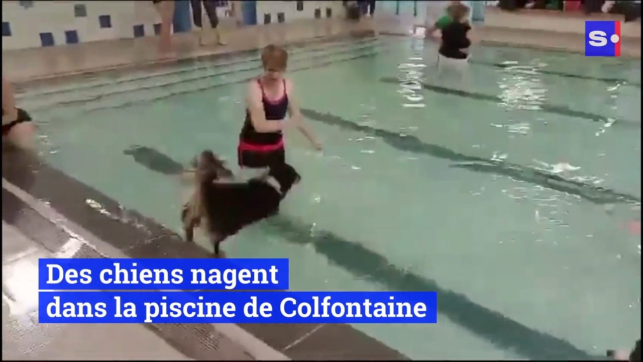 La piscine de Colfontaine a invité les amoureux...