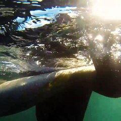 How could you miss in this cave full of fish