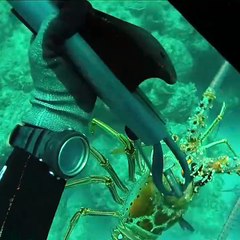 Why Spearfishing is Dangerous!