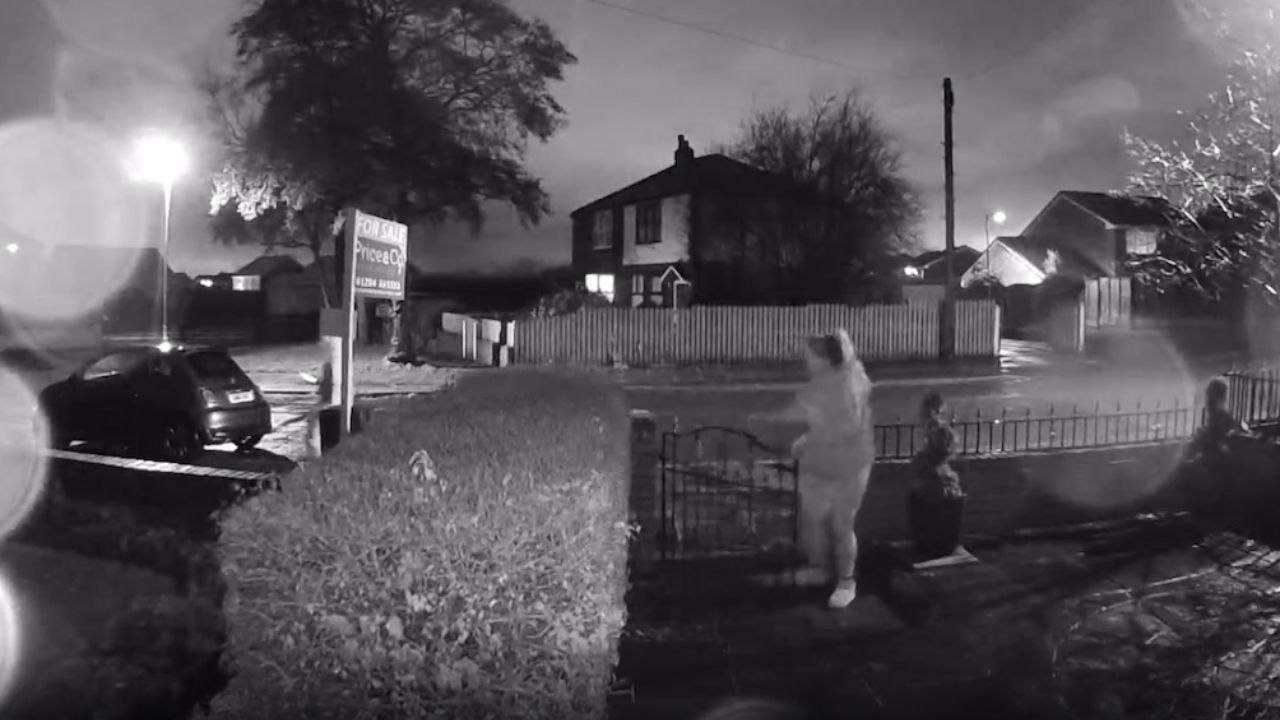 Woman going to meet new neighbors is greeted with a step-tacular dose of embarrassment