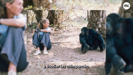 Tête à tête avec Jane Goodall, célèbre primatologue et écologiste