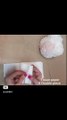 How to Make Round Tissue Paper  Flower __ DIY Paper Craft #papercraft #paperflower #diy #viral