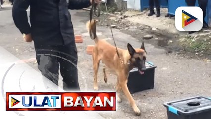 Mga pulis sa Cebu, sumailalim sa explosive ordnance disposal-K9 handler's course