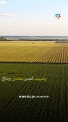 كم تصل درجات الحرارة في أبرد مدينة في العالم؟