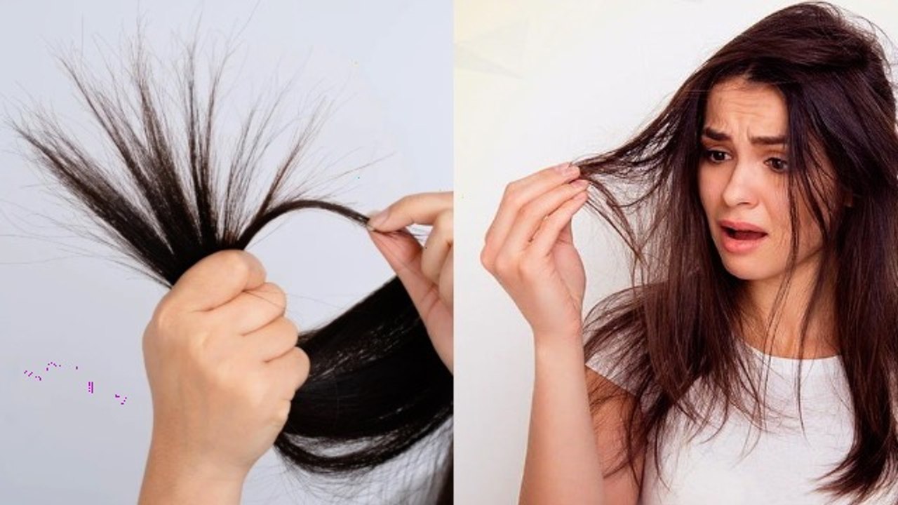 Split Ends को दोमुंहे क्यों कहते है | Why Split Ends Called Do Muhe In Hindi |Boldsky