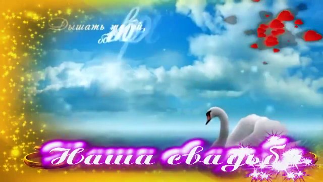 Фоны На Свадьбу