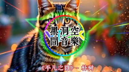 "Roadtrip Rave - 公路狂欢 曲速度假背景音乐 Playlist for a High-Octane Getaway"