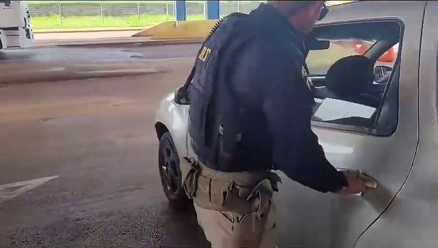 PRF prende motorista que transportava mais de 305 quilos de maconha de Guaíra até Curitiba