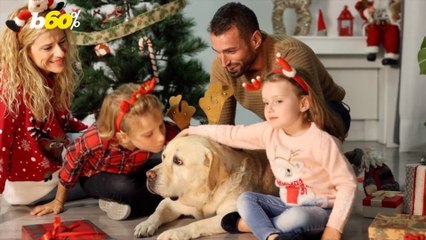 This Holiday Tradition Stands the Test of Time