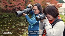 Entdecken Sie Satoyama: Wie japanische Gemeinden im Einklang mit der Natur leben