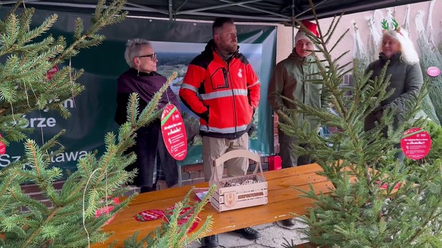 Gazeta Lubuska. Zielona Góra. Akcja choinka dla życia