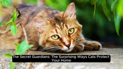 The Secret Guardians: The Surprising Ways Cats Protect Your Home
