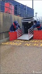 RSPCA East Winch Wildlife Centre team release Hades the seal after three months