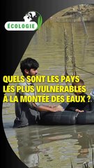 Quels sont les pays les plus vulnérables à la montée des eaux ?