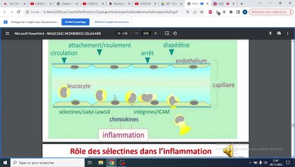 LES MOLECULES D'ADHERENCE PART 2