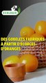 Des gobelets fabriqués à partir d'écorces d’oranges