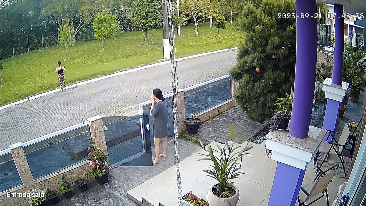 Dog Goes On The Run