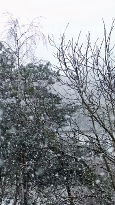 The Unstoppable Journey: Embracing Failure and Fueling Success #lifelessons #success  #quotes