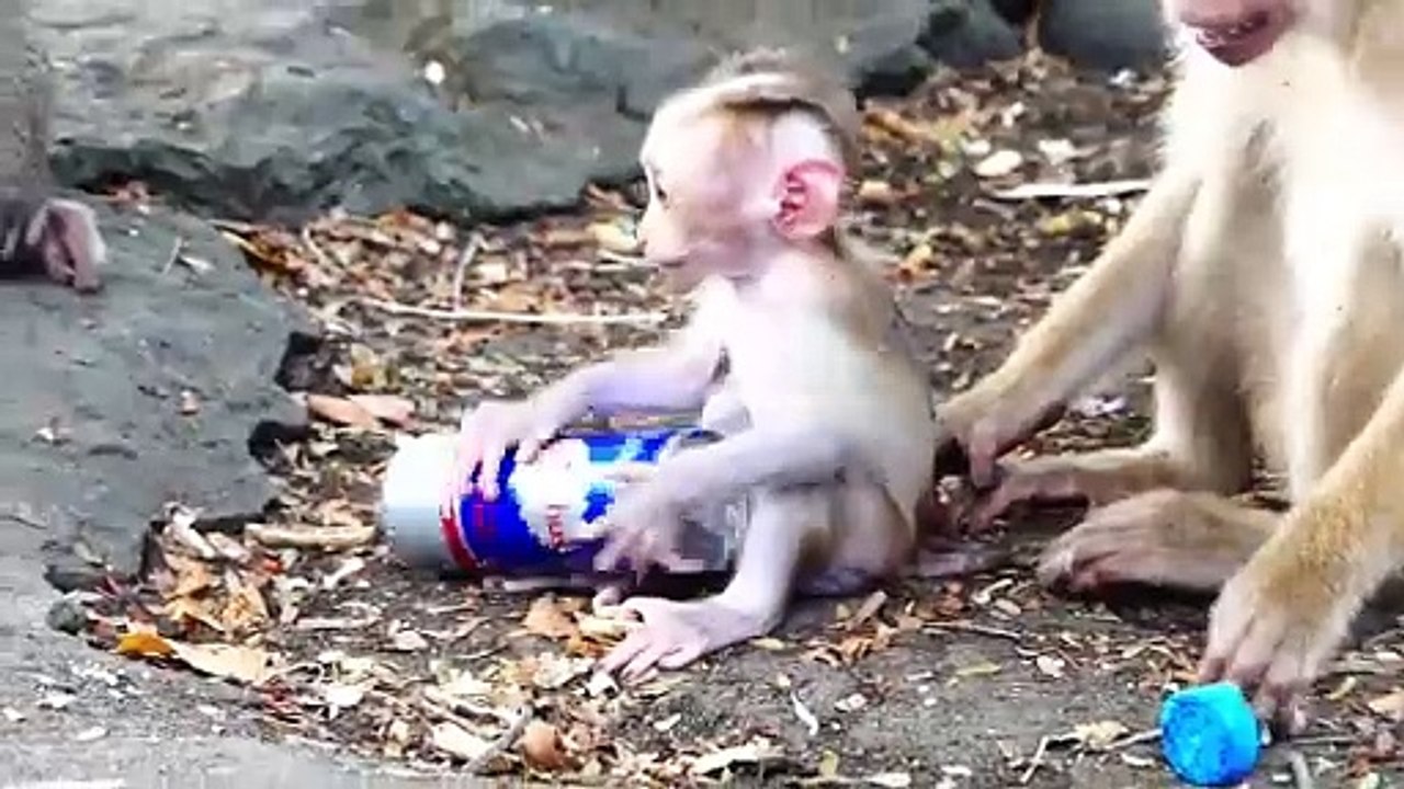 Lovable Rockstar Falls Several Times To Hit Rock (720p_25fps_H264-192kbit_AAC)