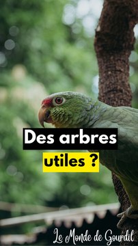 Sans l'Amazonie, on est pas sortis ..